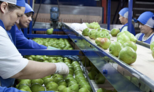 Buenas Prácticas de Manufactura (BPM) en la Industria Alimentaria